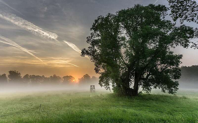 



        
            Morgentau auf den Spreewaldwiesen,
        
    

        Foto: Fotograf / Lizenz - Media Import/Alois Eckl
    