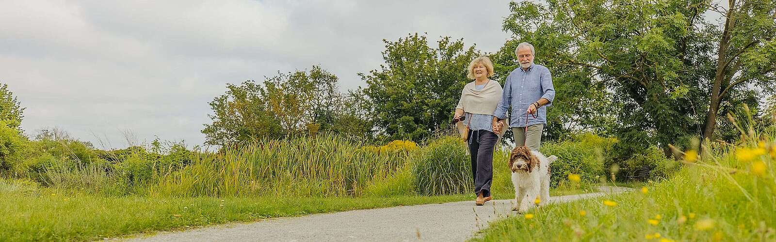 Parkspaziergang mit Hund