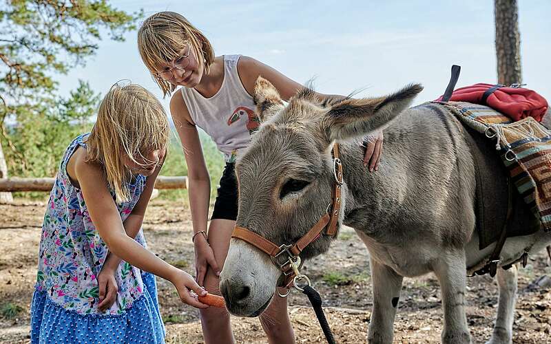 



    
        
                Kinder füttern Esel mit Karotte,
            
        
                Foto: TMB Tourismus-Marketing Brandenburg GmbH/Florian Trykowski
            
    
