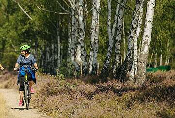 Familie auf Radtour durch Heidelandschaft