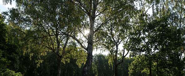 Wanderer unterwegs