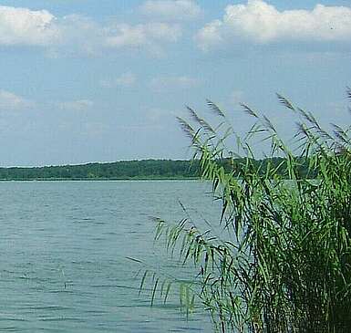 Goyatz (Schwielochsee)