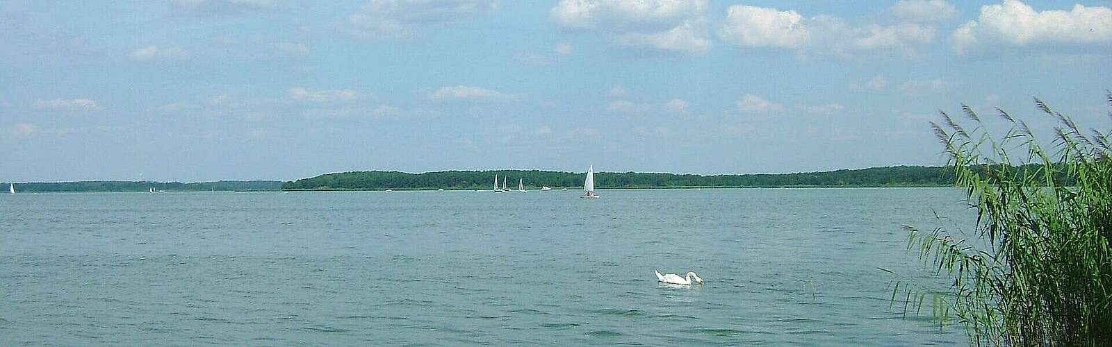 Blick auf den Schwielochsee,
            
        
                Foto: Tourismusverband Seenland Oder-Spree e.V./Kein Urheber bekannt