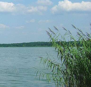 Blick auf den Schwielochsee