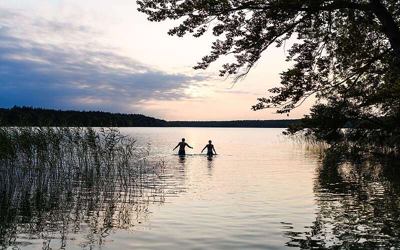 Badende im Stechlinsee