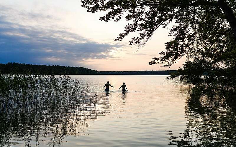 



    
        
                Badende im Stechlinsee,
            
        
                Foto: TMB Tourismus-Marketing Brandenburg GmbH/Wolfgang Ehn
            
    

