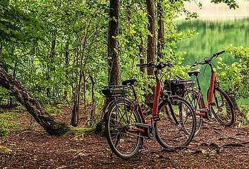 Radfahrer machen Pause und schauen auf den Trünnensee
