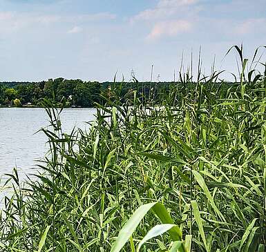 Baden und wandern im Dahme-Seenland