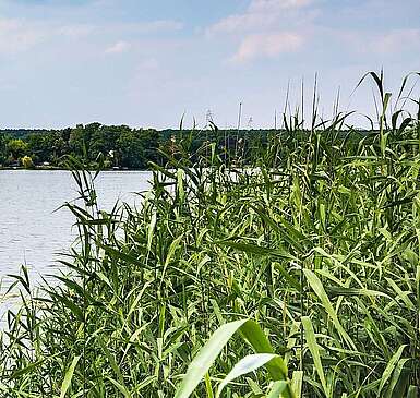 Teupitzer See