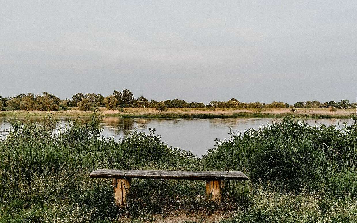 Oderbruch