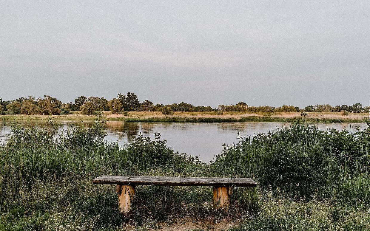 Oderbruch