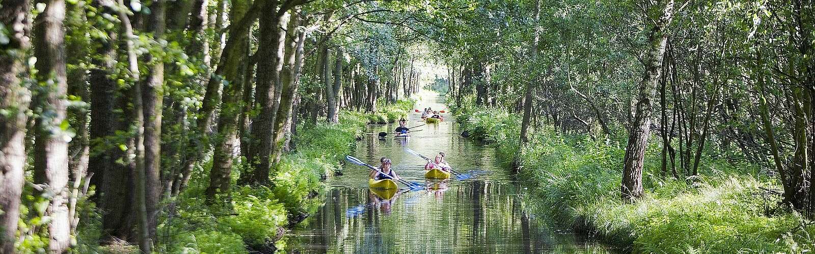 Paddeln im Spreewald,
            
        
                Foto: TMB Tourismus-Marketing Brandenburg GmbH/Paul Hahn