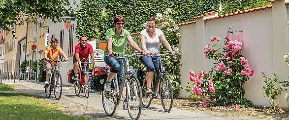 Tour Brandenburg im Elbe-Elster-Land