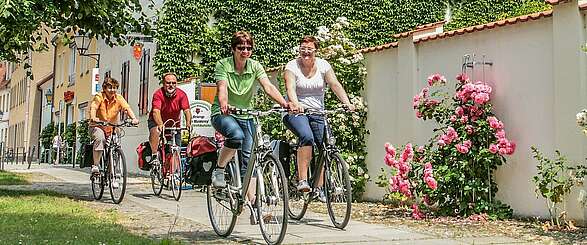 Fünf Ausflugstipps für das Elbe-Elster-Land