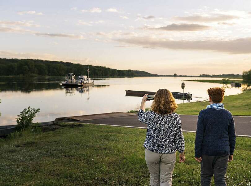Aussicht am Elbdeich bei Sonnenuntergang