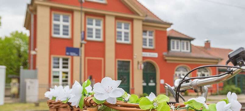 Mit dem E-Bike durch die Schorfheide bei Berlin