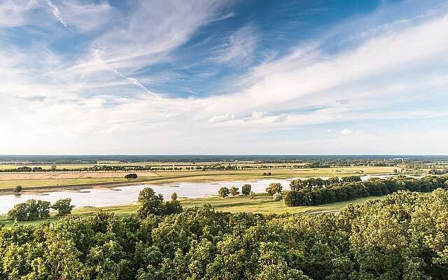 Blick über die Elbtalaue