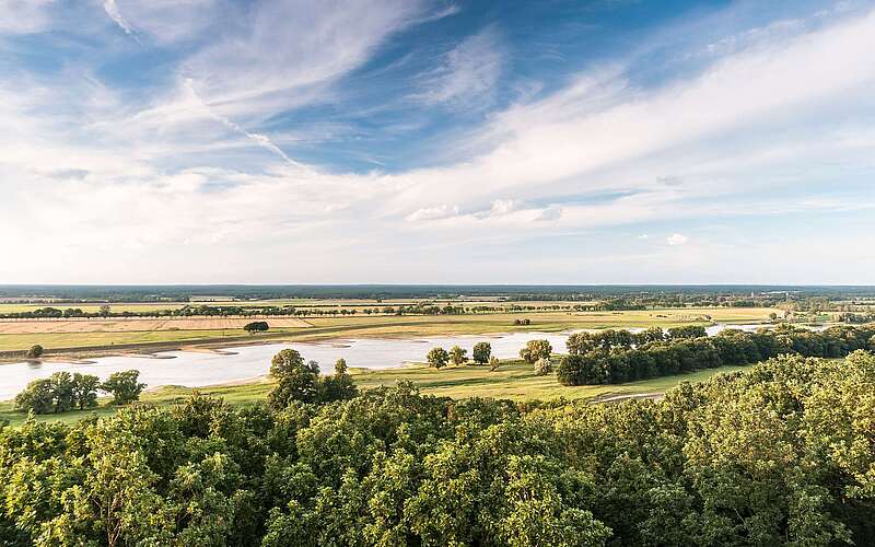 Blick über die Elbtalaue