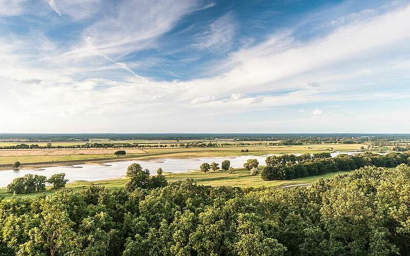 



    
        
                Blick über die Elbtalaue,
            
        
                
                
                    Foto: Dieter Damschen
                
            
    
