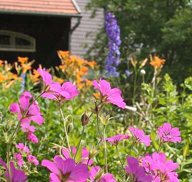 Die Blumenmalerin von Potsdam