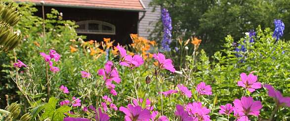Blütenpracht im Bauerngarten