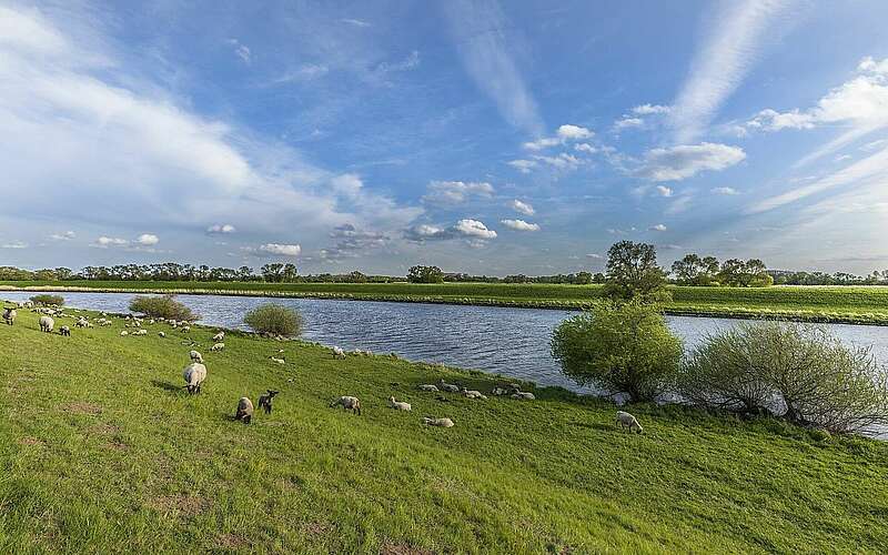 



    
        
                Elbe bei Rühstädt,
            
        
                Foto: TMB Tourismus-Marketing Brandenburg GmbH/Steffen Lehmann
            
    
