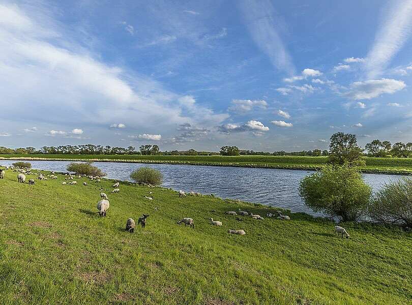 Elbe bei Rühstädt