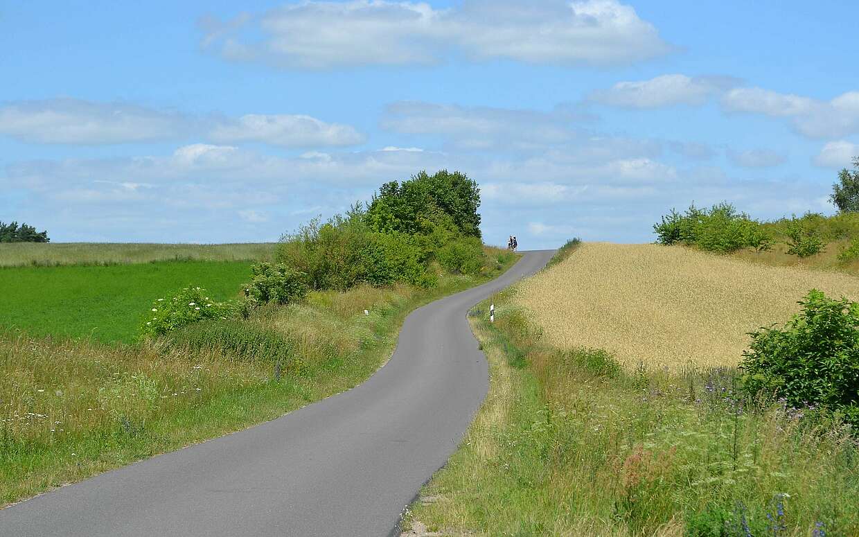 Glatter Asphalt, hügelige Landschaft: Der Fernradweg Berlin-Usedom zwischen Peetzig und Steinhövel.