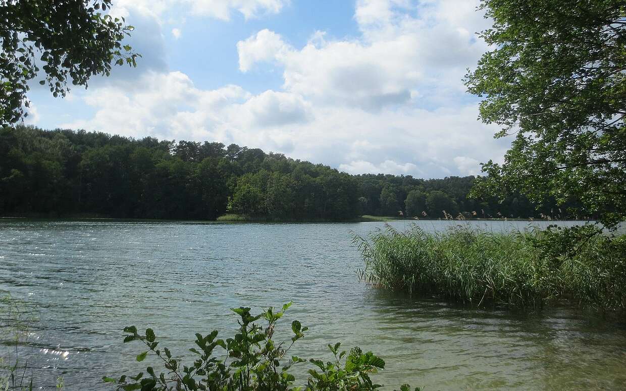 Am Ende der Tour führt der Weg direkt am Roofensee vorbei.