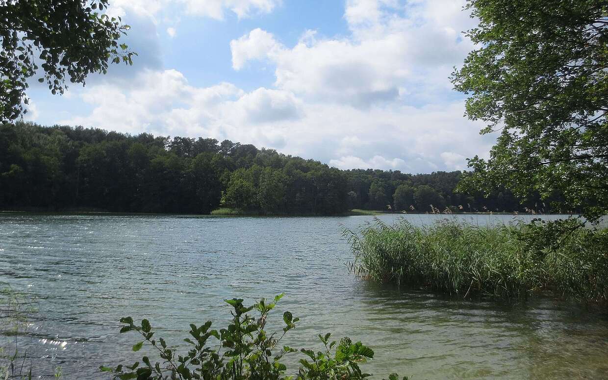Am Ende der Tour führt der Weg direkt am Roofensee vorbei.
