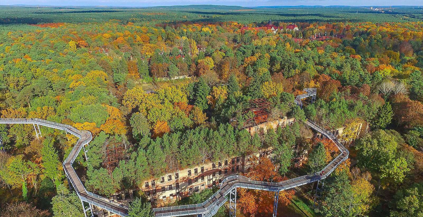 Herbst am Baumkronenpfad in Beelitz-Heilstätten