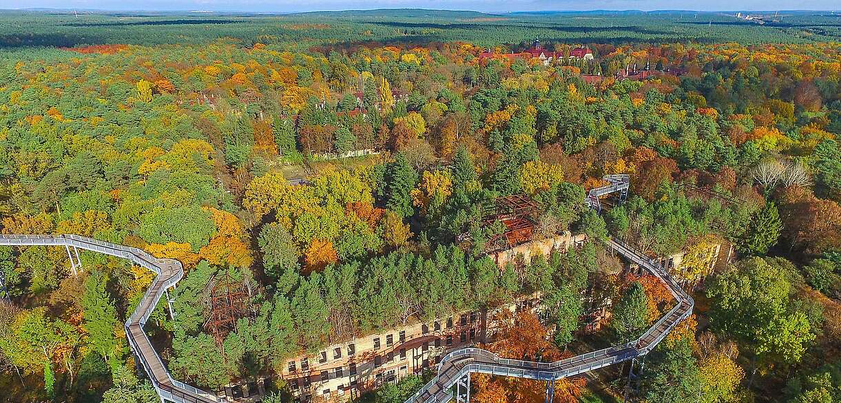 Herbst am Baumkronenpfad in Beelitz-Heilstätten