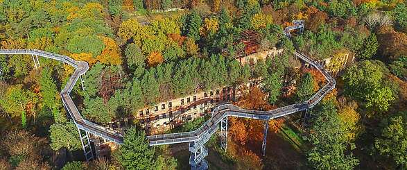 Herbst am Baumkronenpfad in Beelitz-Heilstätten