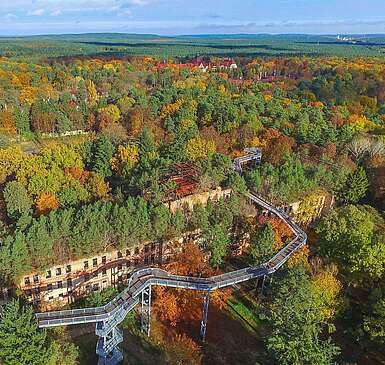 Herbst am Baumkronenpfad in Beelitz-Heilstätten