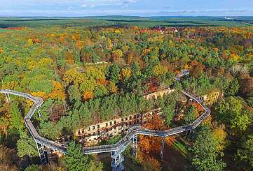 Herbst am Baumkronenpfad in Beelitz-Heilstätten
