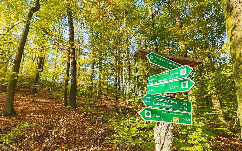 



    
        
                Wegweiser am Hellsee,
            
        
                Foto: TMB Tourismus-Marketing Brandenburg GmbH/Steffen Lehmann
            
    
