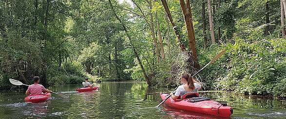 Mit dem Kajak den Spreewald entdecken