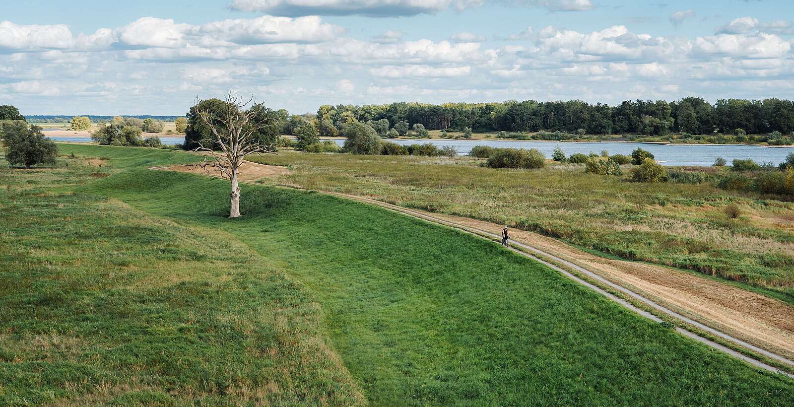 Radfahrer an der Elbe