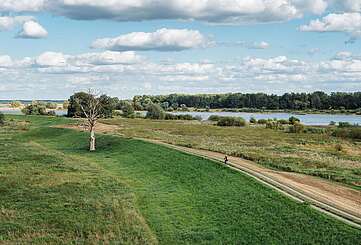Radfahrer an der Elbe