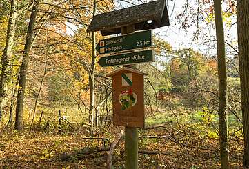 NaturaTrail "Durch die Schluchten und Kehlen der Märkischen Schweiz"