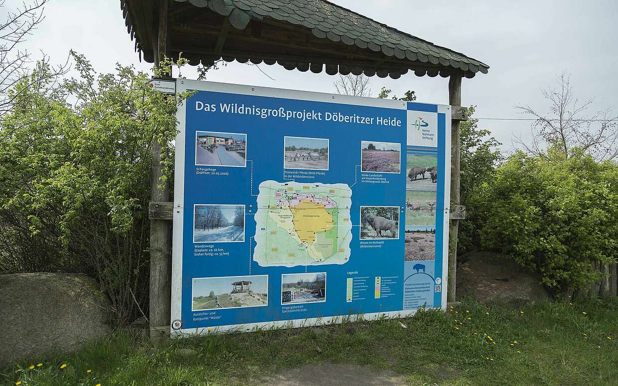 Infotafel in Sielmanns Naturlandschaft Döberitzer Heide
