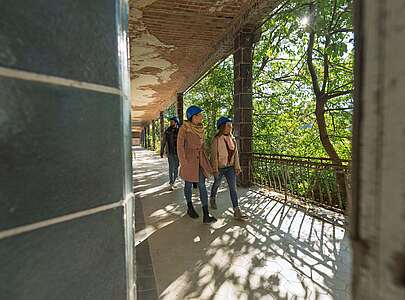 Baumkronenpfad "Baum & Zeit"