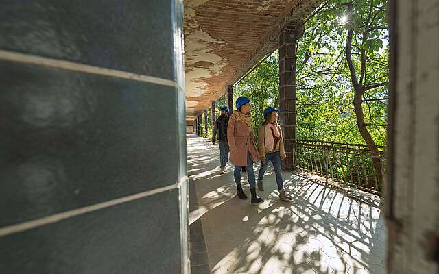 Baumkronenpfad "Baum & Zeit"