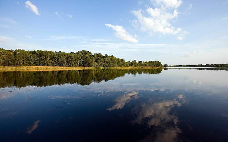 



    
        
                Biosphärenreservat Schorfheide Chorin,
            
        
                Foto: TMB Tourismus-Marketing Brandenburg GmbH/Paul Hahn
            
    

