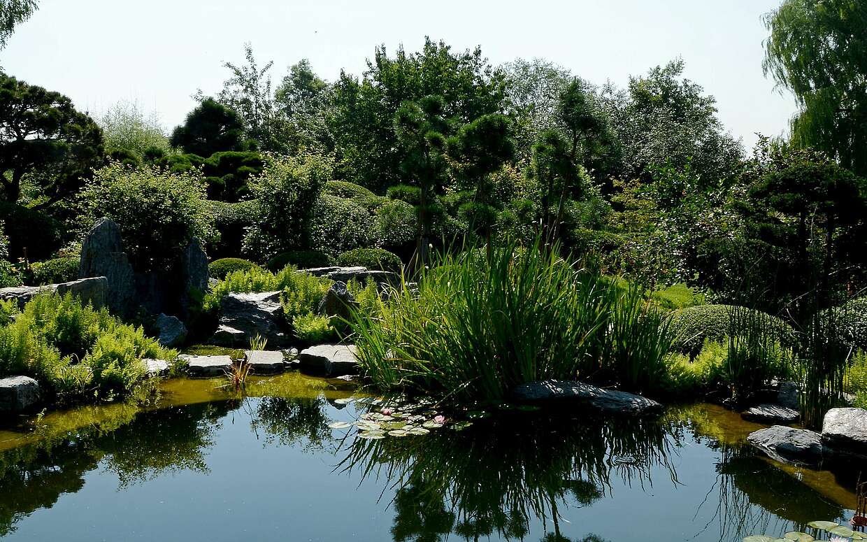 Entspannung im japanischen Garten