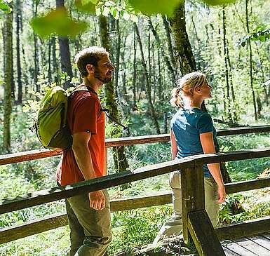 Naturpark Stechlin-Ruppiner Land
