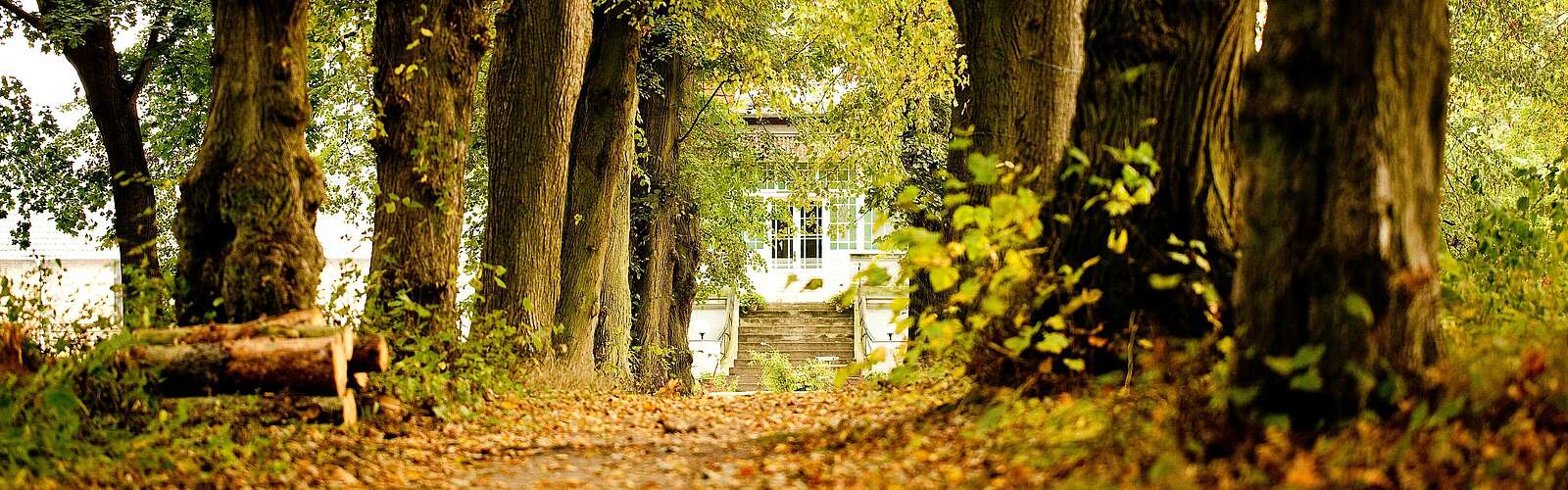 Allee zum Gut Boltenhof,
            
        
                Foto: Gut Boltenhof/Kein Urheber bekannt