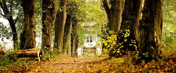 Herbst auf Gut Boltenhof: So geht Familienurlaub