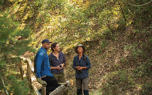 Führung im bewaldeten Hangbereich
