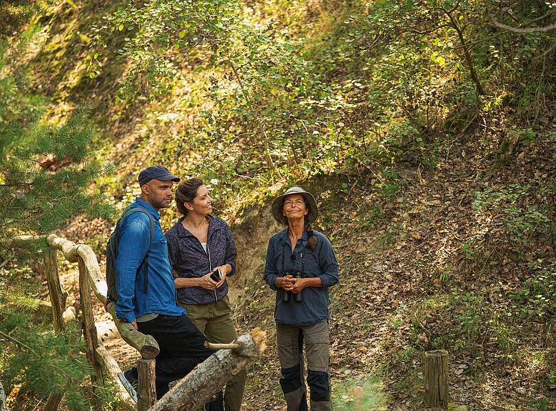 Mit Frauke Bennett durch den Nationalpark Unteres Odertal